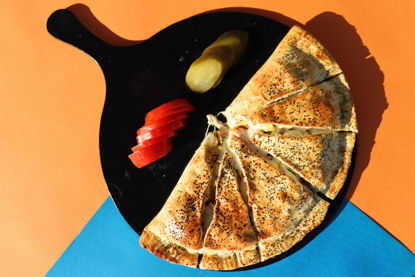 تصویر  پیده مرغ