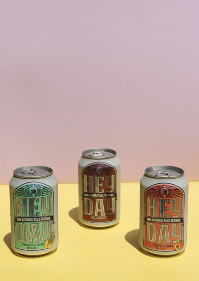 تصویر  دلستر